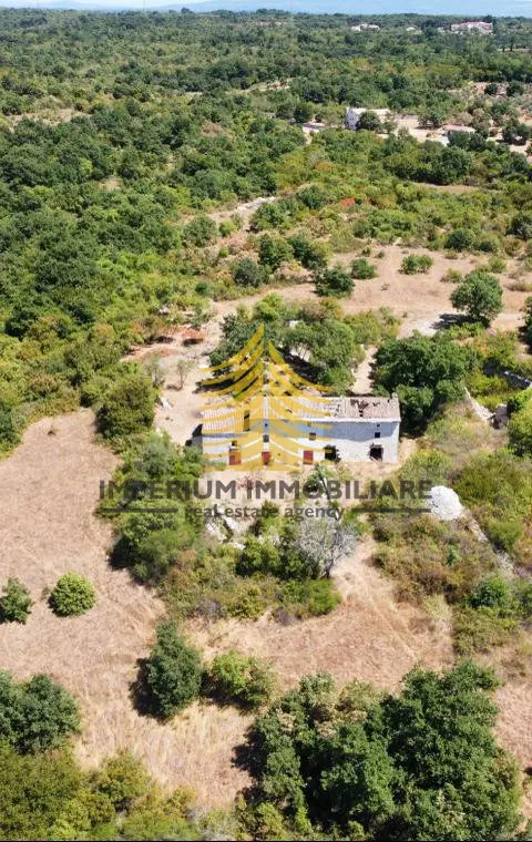 Kuća na prodaju – Pula (Pola), Vodnjan, 2236 m², 6-sobni – fotografija 6
