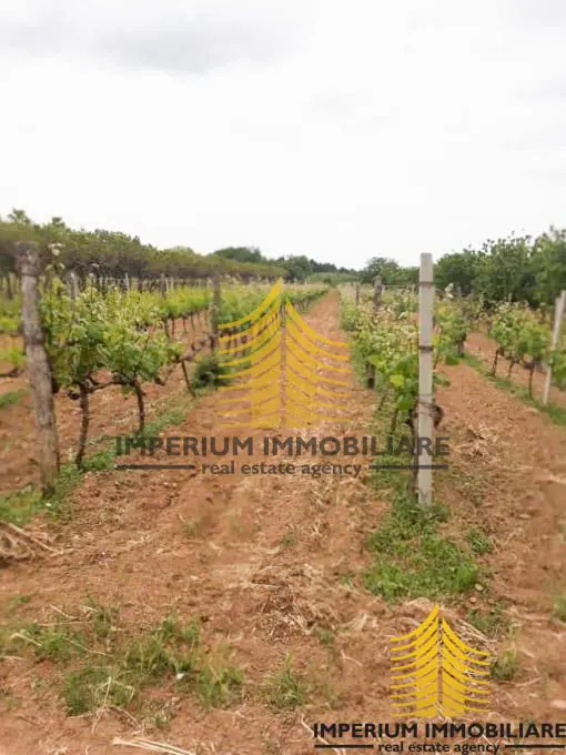 Zemljište na prodaju – Benkovac, 2900 m²