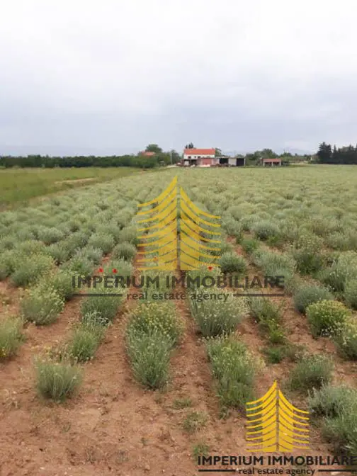 Zemljište na prodaju – Benkovac, 2900 m² – fotografija 2