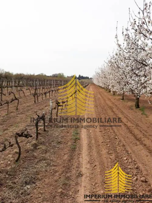 Zemljište na prodaju – Benkovac, 2900 m² – fotografija 4