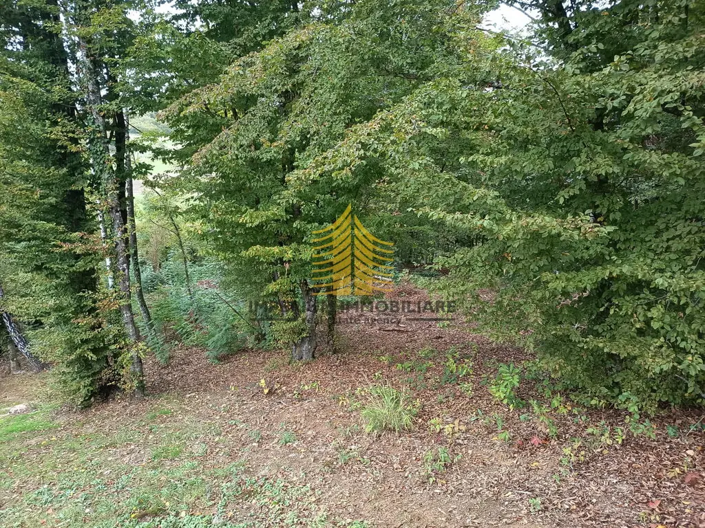 Zemljište na prodaju – Karlovac, 5114 m² – fotografija 3