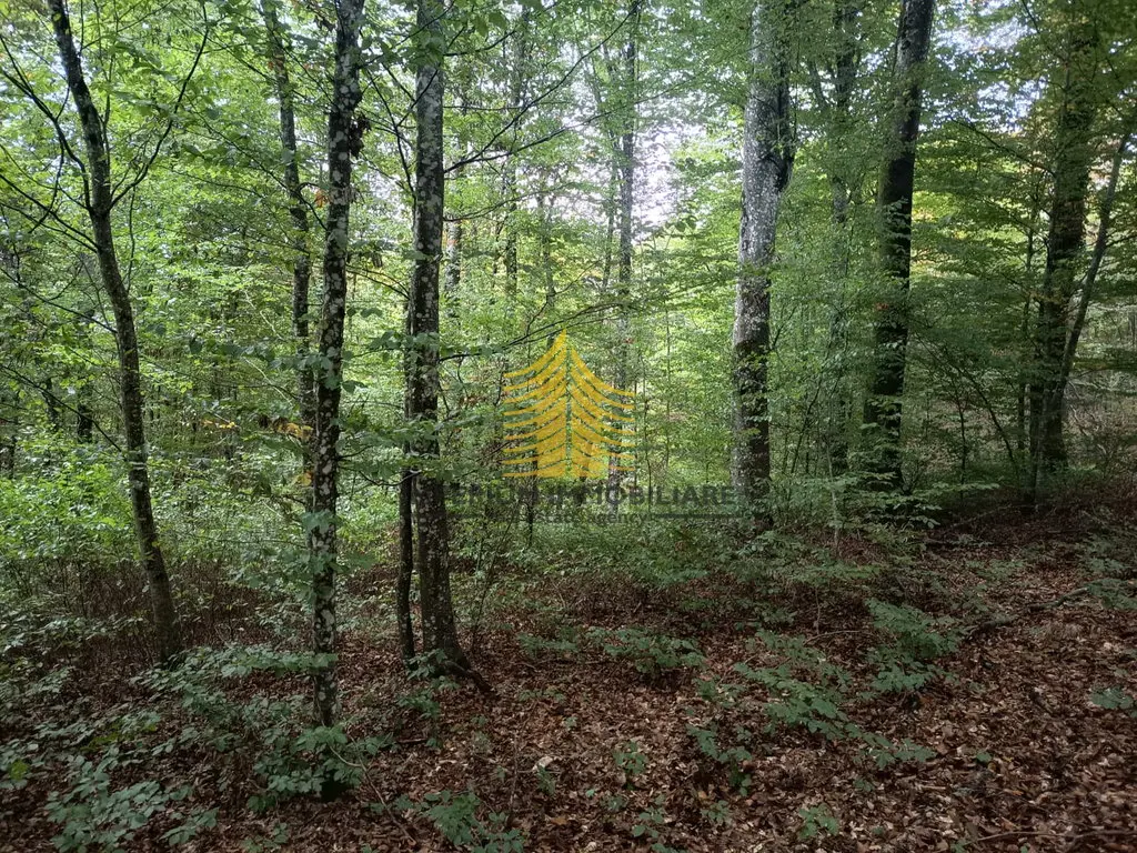 Zemljište na prodaju – Karlovac, 5114 m² – fotografija 4