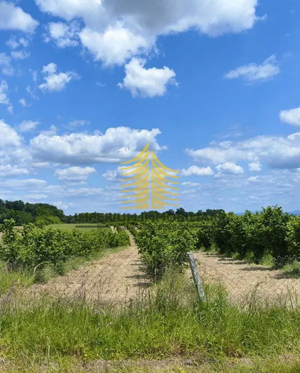 Zemljište na prodaju – Kutina, 88000 m² – fotografija 2