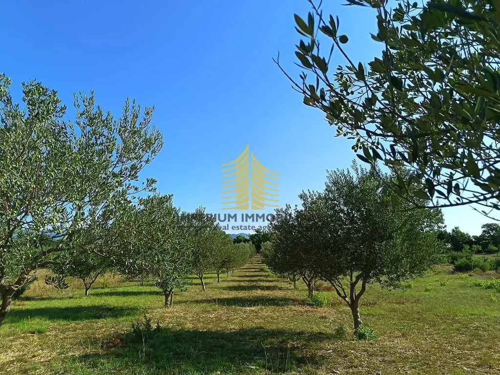 Zemljište na prodaju – Pridraga, Novigrad, 1,88 m² – fotografija 3