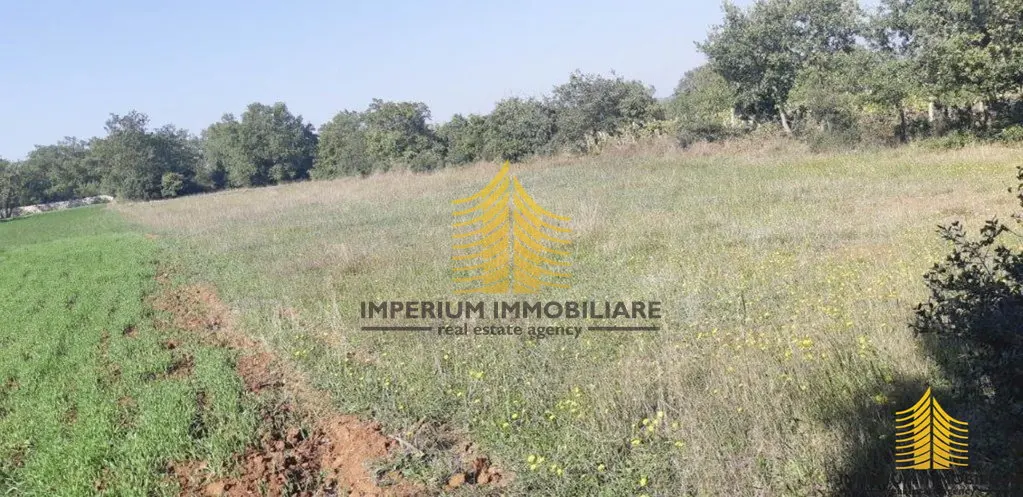 Zemljište na prodaju – Privlaka (Dalmacija), Privlaka, 1225 m² – fotografija 3