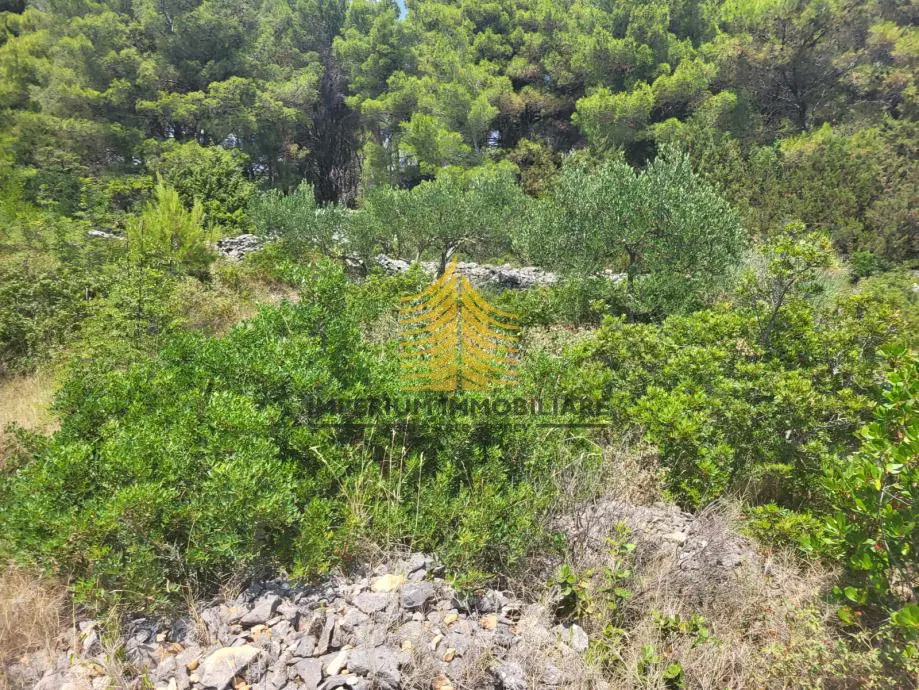 Zemljište na prodaju – Sumartin, 914 m² – fotografija 2