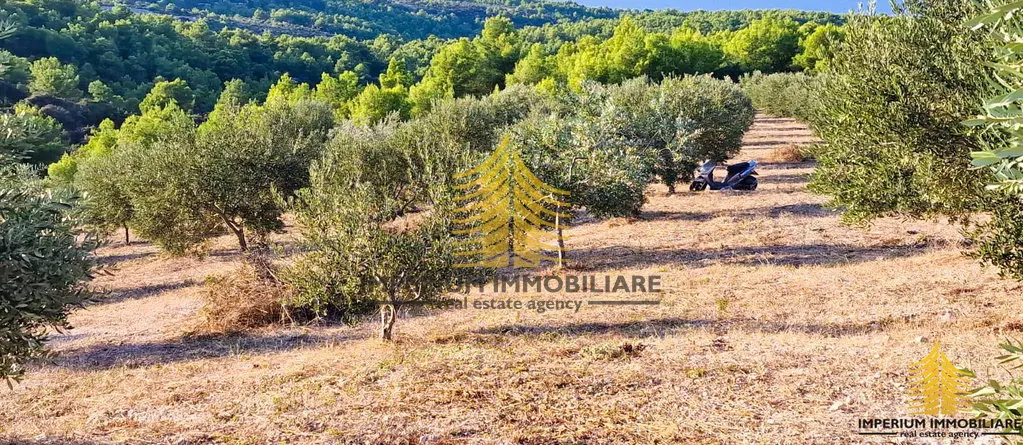 Zemljište na prodaju – Sutivan, 20000 m² – fotografija 5