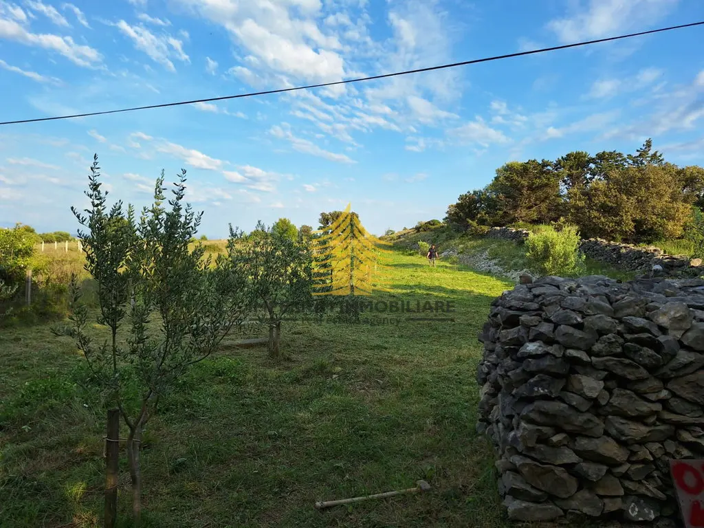 Zemljište na prodaju – Vir, 1959 m² – fotografija 3