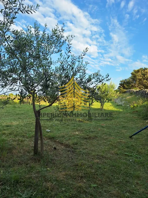 Zemljište na prodaju – Vir, 1959 m² – fotografija 5