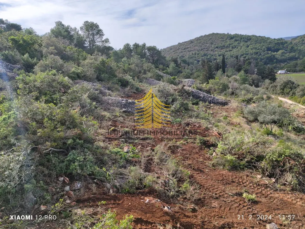Zemljište na prodaju – Vis, 7490 m² – fotografija 6