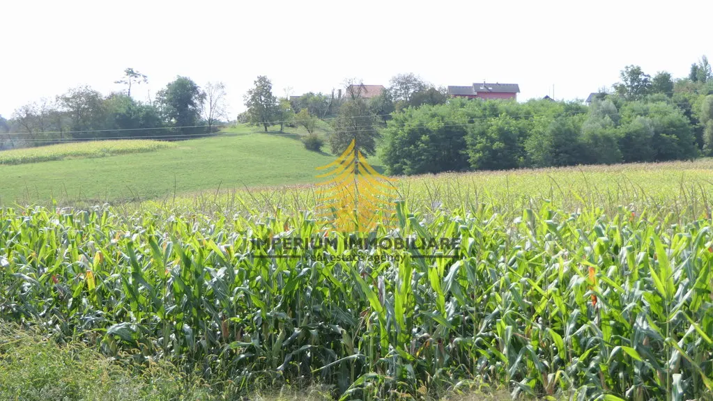 Zemljište na prodaju – Zaprešić, 3388 m² – fotografija 3