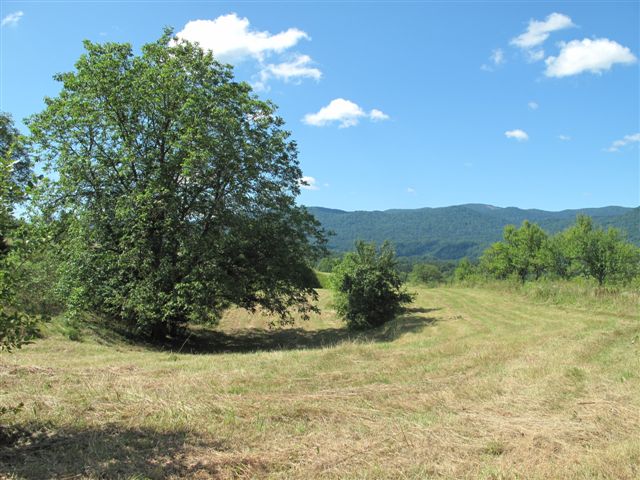 Poljoprivredno zemljište, Vrbovsko, 1676 m2