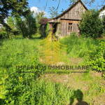 20250428 160711 gLzzOqBJ 2592x4608 portrait