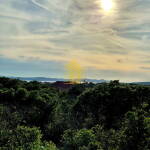 whatsapp image 2025 05 30 at 124843putearg8 2048x1952683a3227b1ab5 683a35cea32f1