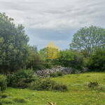 whatsapp image 2025 05 30 at 152657yrtitgky 1646x1712 portrait 683a322f4a647