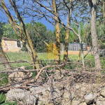 whatsapp image 2025 05 30 at 152811uclt3znh 1564x1338683a33c44a5bc 683a348f7936d