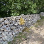 3fd0fb82 878f 4743 881f 2fa89398602e wwbpWVRV 1179x877 1