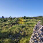 whatsapp image 2025 06 04 at 13.10.24 ykva33wT 1600x1197 1