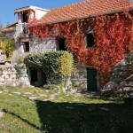 whatsapp image 2025 06 09 at 14.44.29 3 mlkhuEtr 1600x1200 1