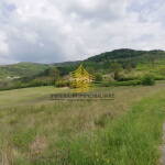 cesta i zemljiste w5jm09r7 2560x1920 1