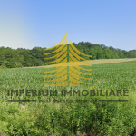 drvarsko selo 8QRfIMnm 1599x528 1