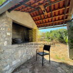 a79531de 4a54 419f bc58 30457403adc4 FpbzZrPb 1536x2048 portrait