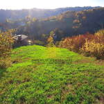 a7a5da27 532d 42a0 806e fa156ea3578e 3BLYEekA 2000x1500 1