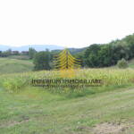 p1290100 1 BuO7ooT0 4000x2251 1