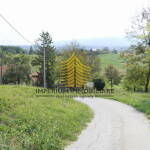 p1290137 4 kopija DQn5RMBt 4000x2251 1