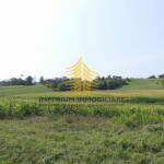 p1290188 5 QlWYhAx7 4000x2251 1