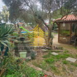 whatsapp image 2025 10 03 at 12.04.38 FGFaqd65 1600x739 1