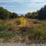 567741962 857124946974311 1580975765552905446 n AOOD4RGb 720x960 portrait