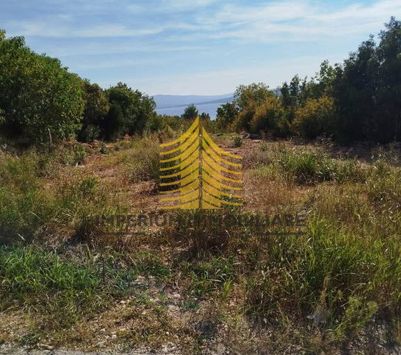 567741962 857124946974311 1580975765552905446 n AOOD4RGb 720x960 portrait