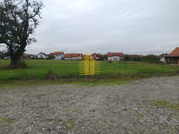 8f6bc5cc 4ae7 49c6 b756 b991ef66c1e8otpbwi6z 2000x1500 691dcb157f2b0