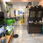 dsc 0844 LlJSeQYR 1000x667 1