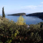 4653efef 917e 4308 83b2 2440341f8f96 PRGoLcX9 1440x1920 portrait