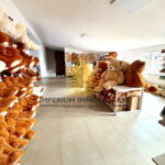 whatsapp image 2026 01 16 at 10.40.12 am liEowoMy 1536x2048 portrait