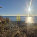 1000033878 fWeKRtzv 4000x3000 1