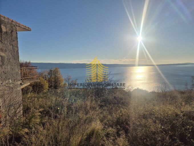 1000033878 fWeKRtzv 4000x3000 1