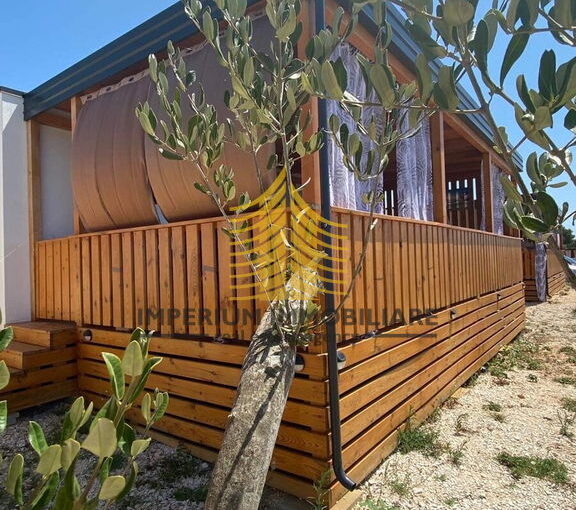 175730286nis72ghi 900x1200 portrait68494ff0de913 6849504a1e5c9