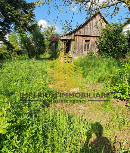 20250428 160711 gLzzOqBJ 2592x4608 portrait