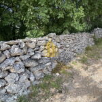 3fd0fb82 878f 4743 881f 2fa89398602e wwbpWVRV 1179x877 1