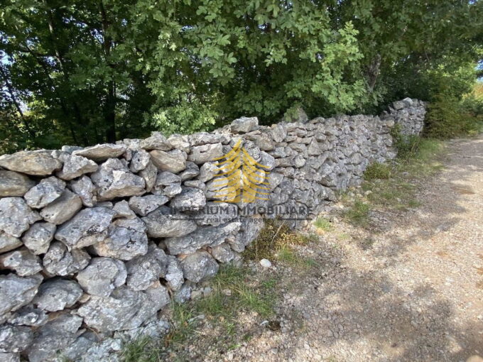 3fd0fb82 878f 4743 881f 2fa89398602e wwbpWVRV 1179x877 1