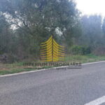 456505993 491207410220250 1374046026590830823 n p2Zgx9vP 960x540 1