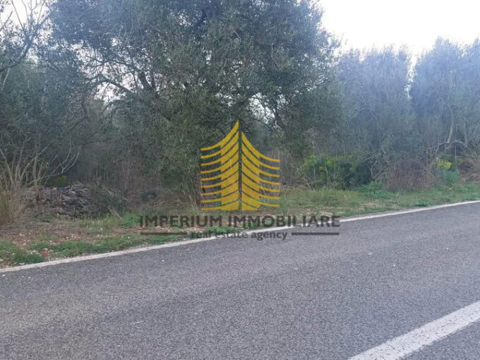 456505993 491207410220250 1374046026590830823 n p2Zgx9vP 960x540 1