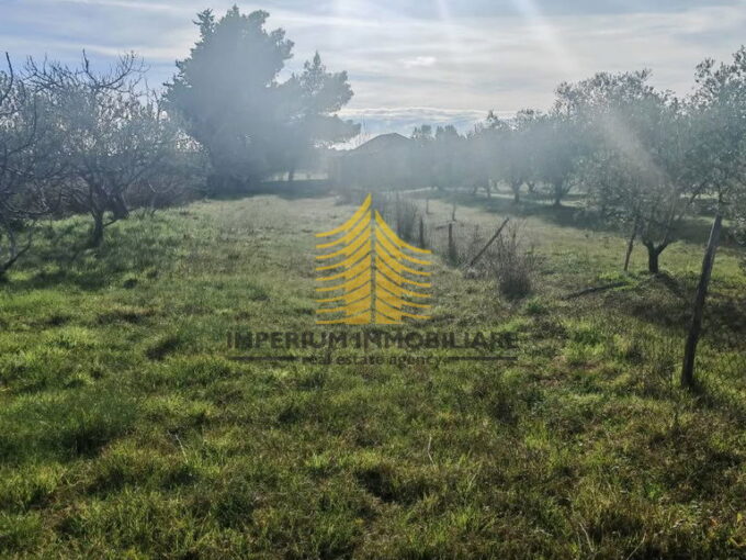 483495814 10235689587322375 6310134845417451557 n rPEgyGoE 960x960 portrait