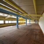 dsc 0054 luXGOovI 6000x4000 1