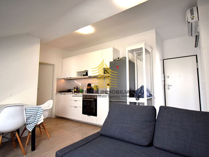 dsc 0411 u9L8Qdgj 5037x3999 1