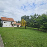 e7b54b59 0375 45fd bd92 7e215cdc5eb1 nB6CTzM6 2000x1500 1