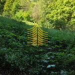 img 20230910 153959 dqCmkvSF 2604x4624 portrait